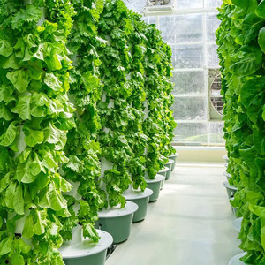 Sistema Acuapónico Vertical de Alta Calidad para Interiores con Bomba de Riego Automático de Nutrientes para el Cultivo de Lechuga y Vegetales - Product Image 2