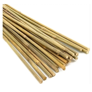 Factory Wholesale Natural Bamboo Stakes Round Bamboo <b>Poles</b> <b>for</b> <b>Garden</b> Plant Support Nursery Farming and Landscaping - Product Image 1