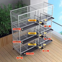 Cage à pigeons professionnelle en fer anodisé respirant pour l'élevage et l'accouplement à usage domestique, grande capacité