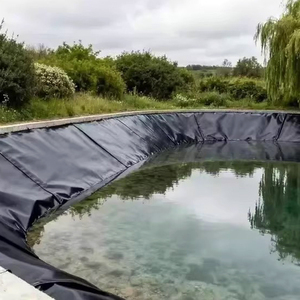 แผ่นใยสังเคราะห์ HDPE สำหรับบุบ่อ ป้องกันรังสียูวี อายุการใช้งาน 50 ปี หนา 0.5 มม.-3 มม. สำหรับฟาร์มปลา การเพาะเลี้ยงสัตว์น้ำ เขื่อน บ่อเก็บน้ำ ที่ฝังขยะ ป้องกันน้ำรั่วซึมแบบทันสมัย - Product Image 5