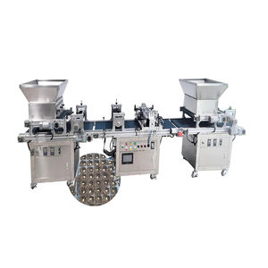 Machine à semer les légumes et fleurs pour pépinière, machine à semer les semis de poivrons en plateaux alvéolés - Product Image 2