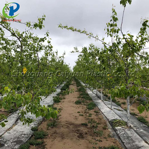 100% Chống Cỏ PP Dệt Vải Kiểm Soát Cỏ Dại, Nhà Máy Nông Nghiệp Mặt Đất Vải Cảnh Quan, 100gsm Đen Nhựa Weed Barrier Mat - Product Image 2