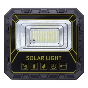 Pannello Solare Riflettente 60W + Telecomando 6500K Bianco Freddo - Product Image 1