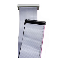 Cable de Extensión IDE Personalizado de 0.3m y 40 Pines, Macho a Hembra, con Cubierta de PVC y Blindaje Trenzado