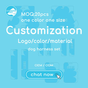 Conjunto de Arnés de Neopreno Personalizado para Perro, Correa de Lujo, Collar y Bolsa para Excrementos para Bulldog Francés, MOQ Bajo, Fabricante OEM ODM - Product Image 6