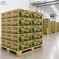 Chambre Froide de Stockage à Basse Température 30000 m³ avec Panneaux PU 150 mm pour Usine de Transformation de Viandes et Fruits de Mer Congelés 380V