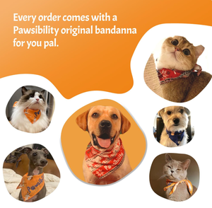 Nouvelle conception 2-en-1 Coupe-ongles et lime pour chiens et chats avec lumière, protection de sécurité améliorée, lame tranchante pour une coupe sans douleur et silencieuse - Product Image 5