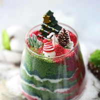 Vase en verre conique transparent pour terrarium d'art sable coloré superposé, mini-scène de cactus, ornement décoratif de table pour la maison et les cadeaux, vente en gros