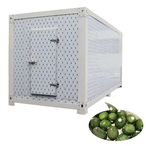 Cold room storage container compressor 20ft 40ft with evaporator for sale