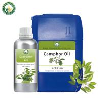 Huile Essentielle de Camphre Naturelle Pure Haute Pureté pour Usage Rafraîchissant et Antibactérien Vente en Gros Prix d'Usine