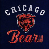 Transfert thermocollant en strass motif 'Bear Down' pour vêtements, design 'She's From Illinois' en cristal brillant à fixation à chaud