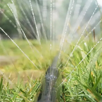 Tuyau de micro-irrigation en plastique DEXIN pour l'arrosage des jardins, l'irrigation agricole, la micro-pulvérisation d'eau de pluie, système de tuyauterie d'irrigation