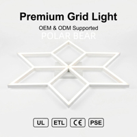 Système d'éclairage LED plat en plastique électrique POLAR BEAR PB-ZT6110 |   Éclairage de studio compact à 9 grilles |   Lampes de Détail Professionnelles |   Haute qualité