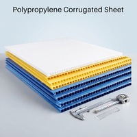 Plaque en plastique ondulé transparent en polypropylène recyclé 2-12 mm / Panneau creux en PP