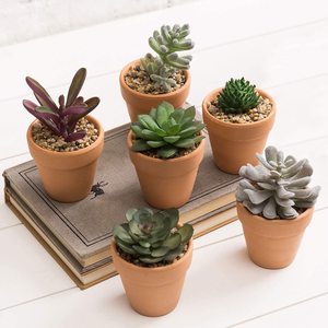 <span class=keywords><strong>Pot</strong></span> <span class=keywords><strong>de</strong></span> fleurs en <span class=keywords><strong>terre</strong></span> cuite d'origine, <span class=keywords><strong>pot</strong></span> en céramique en argile pour la décoration <span class=keywords><strong>de</strong></span> la maison et du jardin - Product Image 4