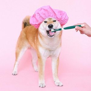 Cepillo de Dientes de Tres Cabezas <span class=keywords><strong>para</strong></span> <span class=keywords><strong>Perros</strong></span>, Suministros <span class=keywords><strong>para</strong></span> el Cuidado Dental de Mascotas, Disponible en Stock - Product Image 3