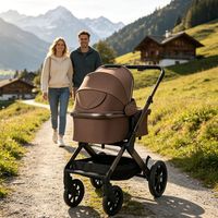 Poussette de luxe antichoc pour nourrissons et tout-petits, 2 en 1, landau pliable, poussette de voyage pour bébé