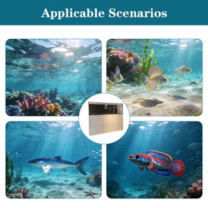 Maßgefertigtes Korallenriff-Fisch-Salzwasser-<span class=keywords><strong>Aquarium</strong></span> aus Eisenarmem Glas, Rotes-Meer-Fischbecken mit Überlauf und Stromversorgungsbox - Product Image 4