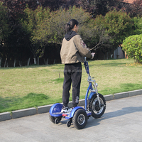 Scooter eléctrico de movilidad de 3 ruedas portátil de la mejor calidad, E-Trike, batería de plomo-ácido de 48V, viaje para discapacitados, modelo de 150kg, 2017