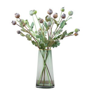 <span class=keywords><strong>Fleurs</strong></span> <span class=keywords><strong>de</strong></span> pavot artificielles en mousse, fruits <span class=keywords><strong>de</strong></span> pavot simulés, branche <span class=keywords><strong>de</strong></span> fruits <span class=keywords><strong>de</strong></span> pavot, <span class=keywords><strong>bouquet</strong></span> <span class=keywords><strong>de</strong></span> fruits <span class=keywords><strong>de</strong></span> pavot séchés d'<span class=keywords><strong>automne</strong></span> - Product Image 5