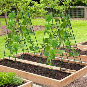 Supporto per Piante a Forma di A in Metallo per Giardino, Traliccio per Cetrioli e Ortaggi in Vaso, da Esterno, del Produttore - Product Image 3