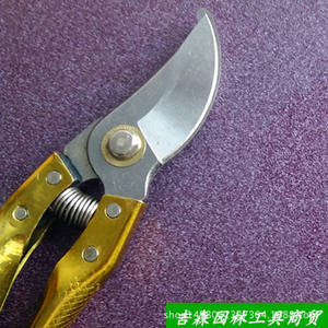 Cisailles de taille Ichiro Yoshikawa, lame de 70 mm, acier inoxydable, acier à haute teneur en carbone, structure papillon, pour arbres fruitiers et branches - Product Image 5