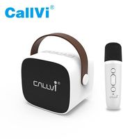 Amplificateur de lecteur de musique Callvi W2 Mini BT haut-parleur de karaoké portable avec microphone portable sans fil