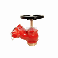 CA Bon prix Vannes de bouche d'incendie de sortie de type BS Vanne de bouche d'incendie en laiton avec capuchon