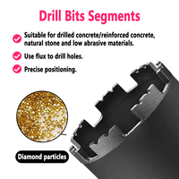 LAANCI 10 pièces Forets diamantés à segments 25-500 mm de diamètre Utilisation humide/sèche Segment soudé au laser 10x3.6x24mm Perçage de maçonnerie 1