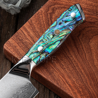 Pisau Dapur Profesional Jepang Damascus 9 Inci KEENHOPE, 67 Lapis Baja VG10, Tajam, dengan Gagang Cangkang Abalone