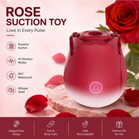 Vibrateur Rose en Gros pour Femmes - Rechargeable USB, Étanche, 10 Vitesses, Masseur Clitoridien et Mamelons à Succion, Masturbateur, Prix Abordable