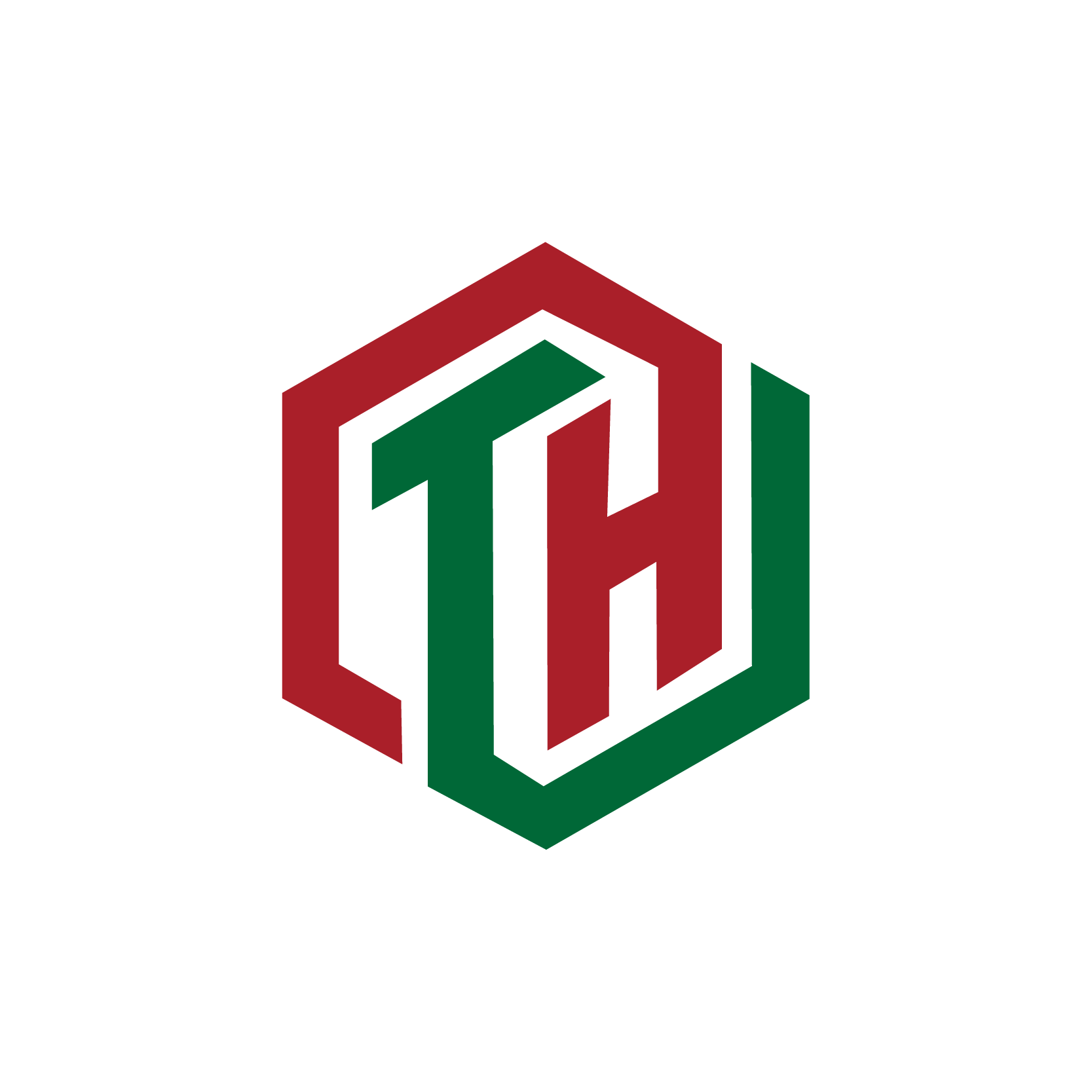 Hubei Tuohang Power Technology Co., Ltd. logo