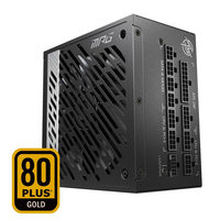 Alimentation MSI MPG A750G PCIE 5.0 750W avec 80 GOLD entièrement modulaire pour jeux, prise en charge du câble 12VHPWR, compatible ATX 3.0 4070