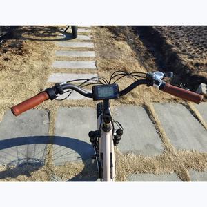 Bicicleta Eléctrica <span class=keywords><strong>Fat</strong></span> Ebike para mujer, bici de 24 pulgadas, <span class=keywords><strong>2021</strong></span> W/500W, paso a través, Crucero de playa, nueva de 750 - Product Image 6