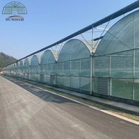 Serre en polyéthylène fabriquée en Chine, usine de serres SUNSGH