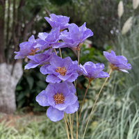 Importierte Handgefertigte Echte Frische Blumen Windspiele Silber Lotus Anemone Gänseblümchen Langlebig 3-5 Jahre Haltbar Muttertag Neujahr