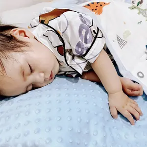 Hot Bán Bé Comforter Chăn Mềm Minky Lông Cừu & Cotton Hữu Cơ Minky Bé Ấm Chăn Cho Trẻ Sơ Sinh Bé