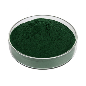 Bubuk Kompleks Natrium Magnesium Klorofilin Tembaga Kelas Makanan OEM Kustom Grosir Ekstrak Herbal Suplemen Drum - Product Image 2