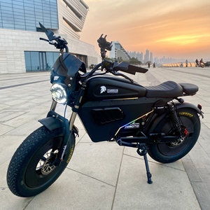 Bicicleta de Montaña 2025 de 3000W con Motor de 1500W, Neumáticos Anchos, Batería de Litio Extraíble de 30AH/60AH - Product Image 1