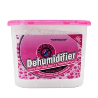 Déshumidificateur à charbon de bois pour la maison absorbeur d'humidité armoire déshumidificateur boîte