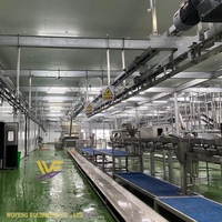 Équipement automatisé d'abattage de moutons, ligne de traitement haute capacité, abattoirs commerciaux