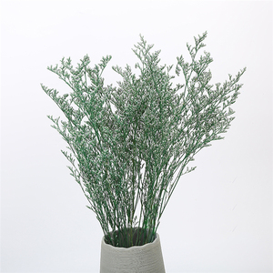 Suspension de fleurs séchées pour carte de remise de diplôme, accessoires de décor, cadeau naturel en lycra, statue préservée, herbe des amoureux, démodis <span class=keywords><strong>gyrans</strong></span> - Product Image 4