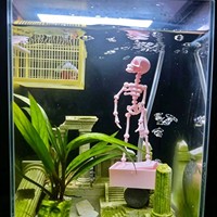 Squelette dansant transfrontalier imprimé en 3D PLA, diffuseur de bulles et ornement d'aquarium moderne et minimaliste