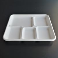 Plateau alimentaire jetable en fibres végétales biodégradables et écologiques, personnalisable, pour hôpitaux et camping, directement de l'usine