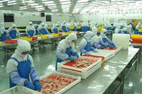 Grande Chambre Froide Centrale Modulaire avec Fonctionnalités Automatiques et Écologiques pour Stockage Alimentaire Personnalisé pour la Restauration