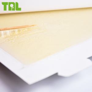 Hochwertige Schädlings bekämpfung werkzeuge Umwelt freundliche klebrige Ratten leim falle TLGT0201 - Product Image 6