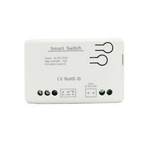 F0704 Ewelink Contrôleur de porte de garage WiFi intelligent-Module de NO-USB relais 1CH 85-250V avec voix Alexa et télécommande 433MHz