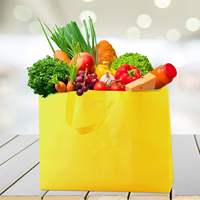 Bolsas de Compras Promocionales Ecológicas de Gran Capacidad, No Tejidas, con Diseño de Dibujos Animados, Correa de Hombro Reforzada, Reciclables