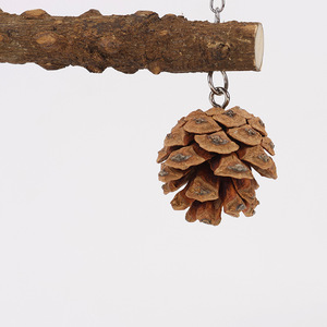 Stazione di gioco in legno di salvia per pappagalli, con altalena, anello giocattolo e struttura per arrampicata per gabbie per <span class=keywords><strong>uccelli</strong></span> - Product Image 3