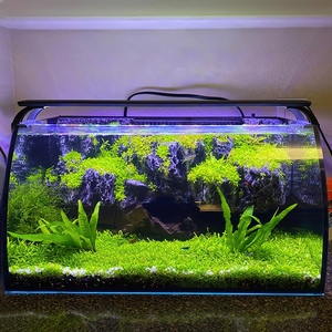 Hygger 8 gallons LED <span class=keywords><strong>Aquarium</strong></span> en verre, y compris pompe à filtre de puissance 7W, lumière led colorée 18W, <span class=keywords><strong>aquarium</strong></span> - Product Image 1